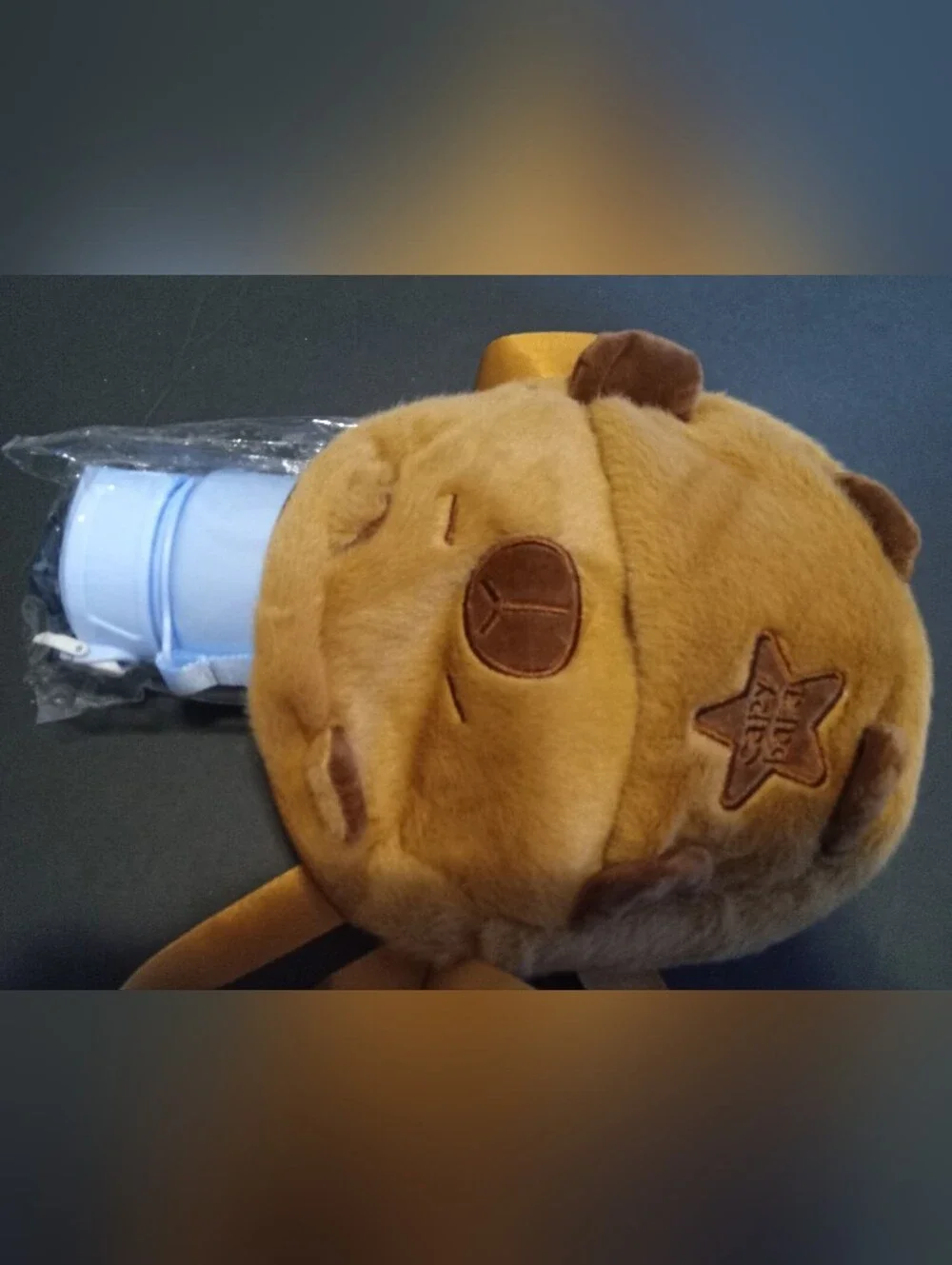 Capybara Fun Items; Plush Crossbody Bag, Water Bottle, 3 Tote Bags